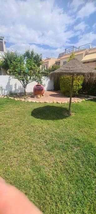 Bungalow Avec Piscine Torrevieja Exterior photo